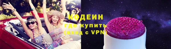молекула духа Вяземский