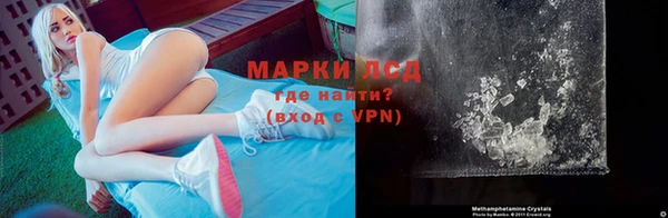 молекула духа Вяземский