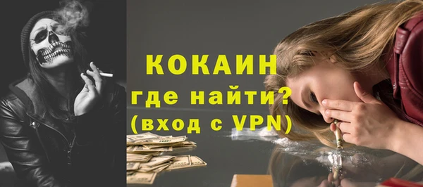 молекула духа Вяземский
