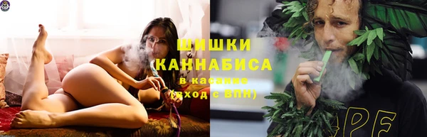 молекула духа Вяземский