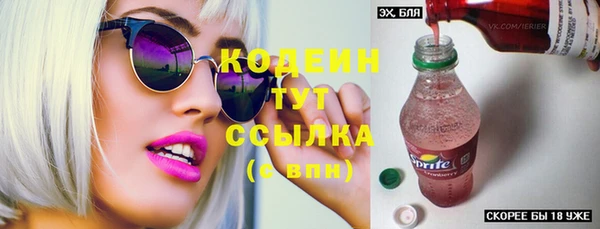 молекула духа Вяземский