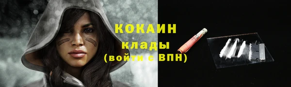 стаф Гусев