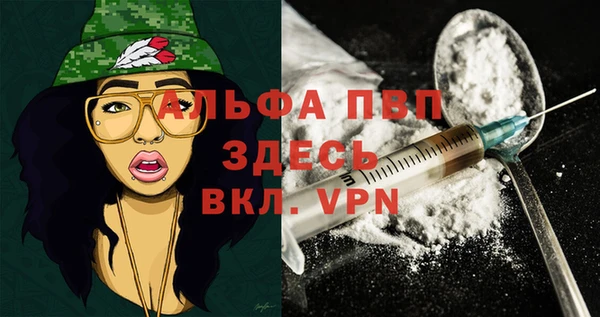молекула духа Вяземский