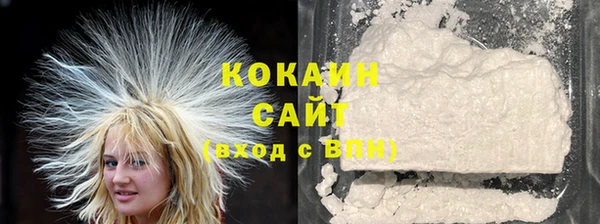 молекула духа Вяземский