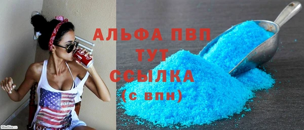 молекула духа Вяземский
