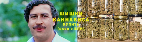 молекула духа Вяземский