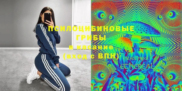 молекула духа Вяземский