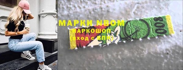 молекула духа Вяземский