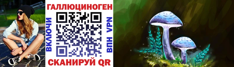 Псилоцибиновые грибы MAGIC MUSHROOMS  Малаховка 